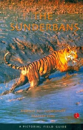 The Sunderbans
