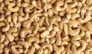 Premium Roasted Cashews CHARISHMA CASHEW INDUSTRIES