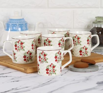 India Circus Chevron Roses Mug Set Of 6