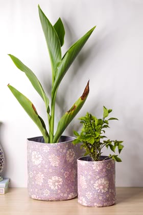 Lavender Pot Cover (Combo)