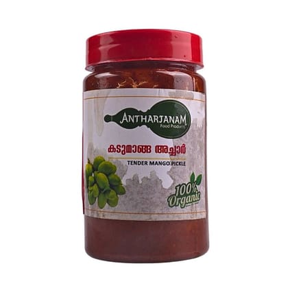 MANGO PICKLE - 250 gm