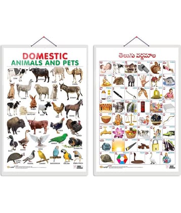 Set of 2 Domestic Animals and Pets and Telugu Alphabet (Telugu) Early Learning Educational Charts for Kids | 20"X30" inch |Non-Tearable and Waterproof | Double Sided Laminated | Perfect for Homeschooling, Kindergarten and Nursery Students