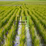 Aishwarya Enterprises