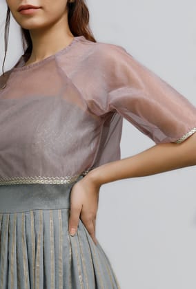 Set Of 2: Plum Organza Embroidered Blouse With Strappy Grey Block Printed Pleated Dress-L