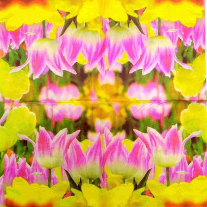 Decoupage Napkin / Tissue papers - LGT1850