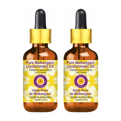 Deve Herbes Pure Malkangani (Jyotishmati) Oil (Celastrus paniculatus) with Glass Dropper | Cold Pressed | Brain & Memory Support | Natural | Undiluted | For Diluting Essential Oils | Unisex | 15ml X 2 Deve Herbes Pure Malkangani (Jyotishmati) Oil (Celast Deve Herbes Pure Malkangani (Jyotishmati) Oil (Celastrus paniculatus) with Glass Dropper | Cold Pressed | Brain & Memory Support | Natural | Undiluted | For Diluting Essential Oils | Unisex | 15ml X 2 Deve Herbes Pure Malkangani (Jyotishmati) Oil (Celast