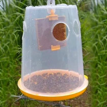 Fruit Fly Trap Container  by Palvi industries