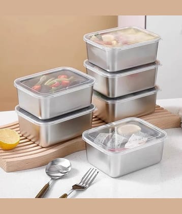 RAVISTRA FreshLock 550 Steel Silver Food Container ( Set of 6 )
