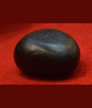 Mithila Shaligram