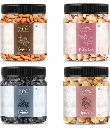 Lila Dry Fruits Combo Almonds, Pista, Black Raisin, Apricots 100 Grams Each (100g x 4)