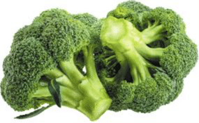 broccoli broccoli