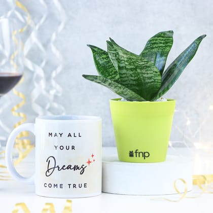 New Year Serenity Combo