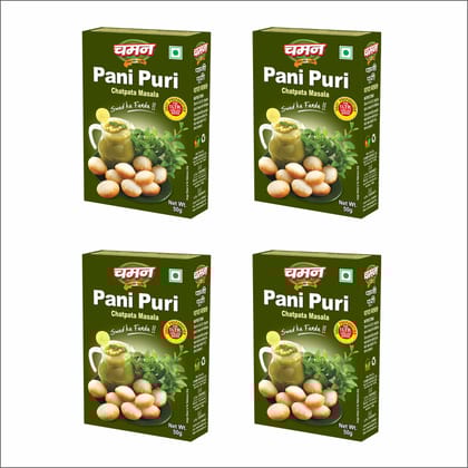 Chaman Pani Puri Masala, 50 gm - Pack of 4