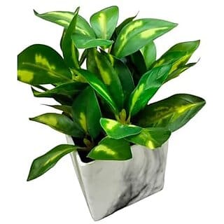 De Gardenia Hand Made Artificial Table Plant with Pot 24 cm Tall Bonsai for Home and Office Decor. (3 Handmade3)