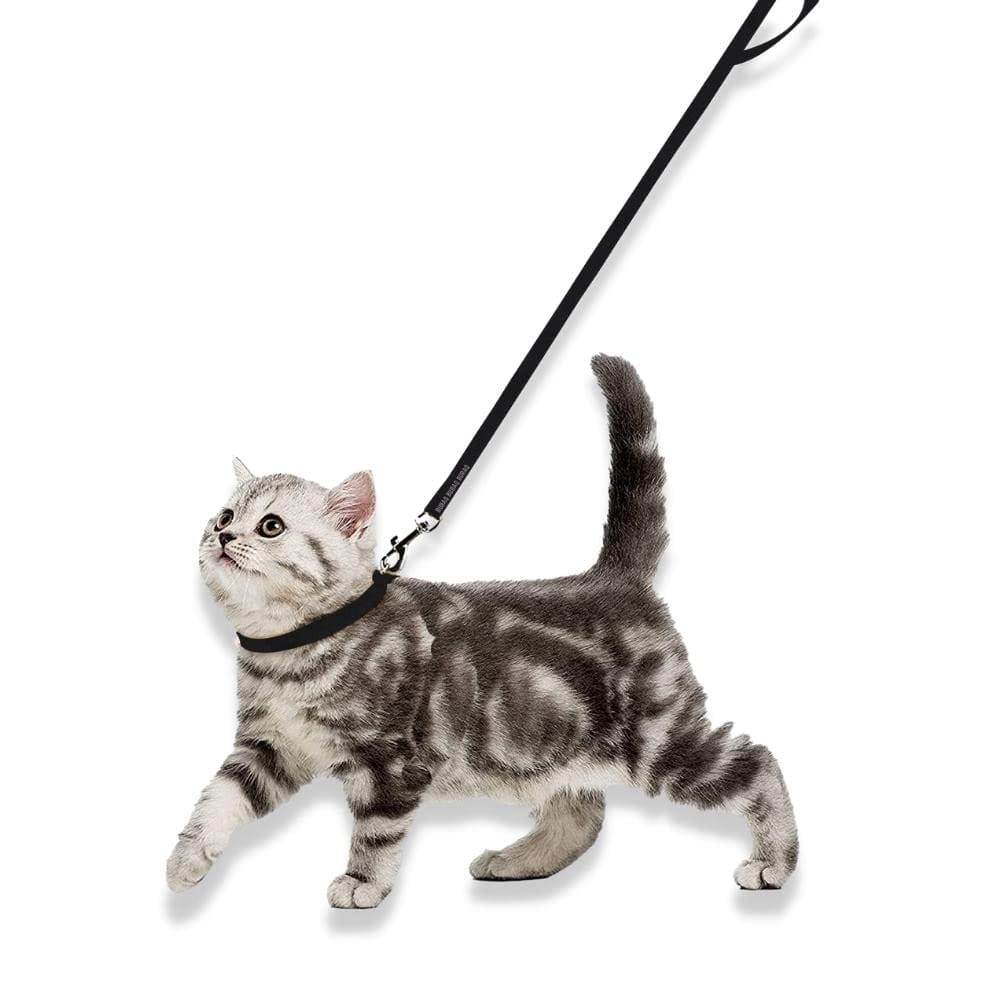 Collar and Leash Set-Black