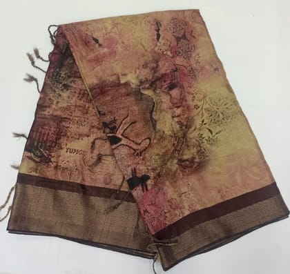 Exquisite DOLA PATTU SAREE