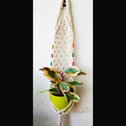 White Macrame Wall Hanging Pot Holder Cotton With Wooden Beads
