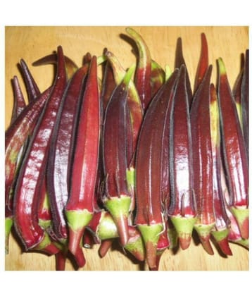 BS SEEDS Green India Vegetables Okra/Bhindi Hybrid Seeds - 50 seeds/Pack