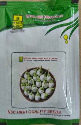 NSC Brinjal Seed/ Pusa Safed Baingan-1 - 10g NSC Brinjal Seed/ Pusa Safed Baingan-1 - 10g