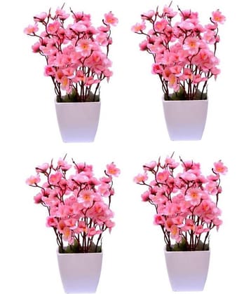 Green plant indoor Orchids Pink Flowers With Pot - Pack of 4