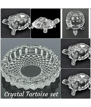 PAYSTORE Crystal Tortoise