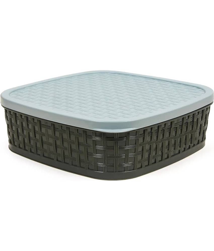 KTU Plastic Multicolor Spice Container ( Set of 1 )