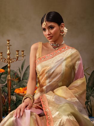 Multicolor Banarasi Tissue Silk Saree with Golden Zari