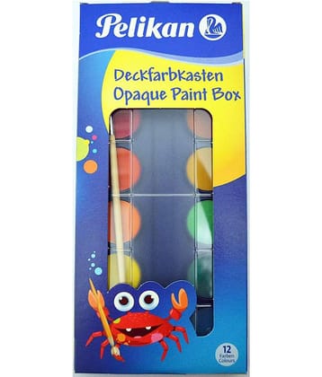 OPAQUE PAINT BOX  F355/12T