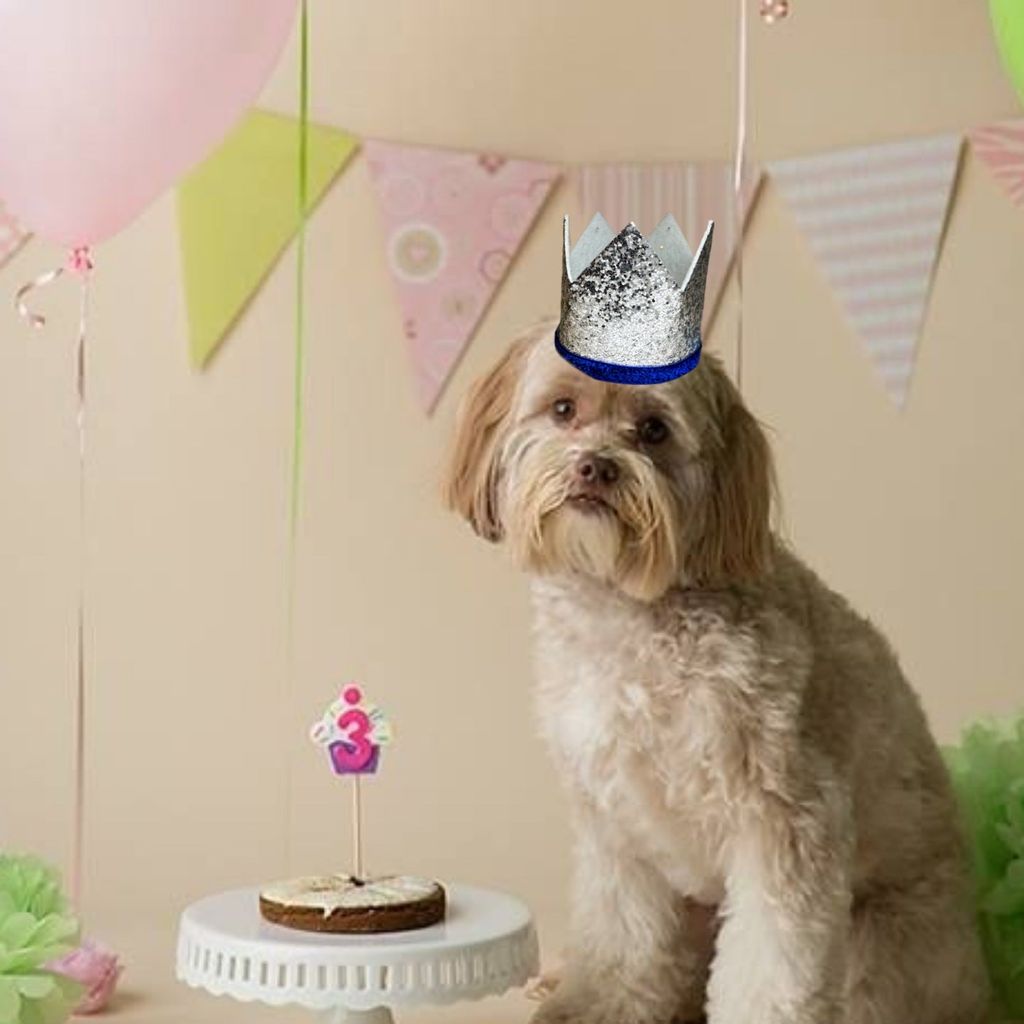 Kids Crown Silver Cap w/Pull Elastic & Customisable