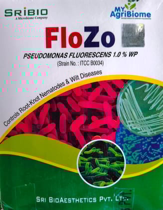 FLOZO PSEDOMONAS