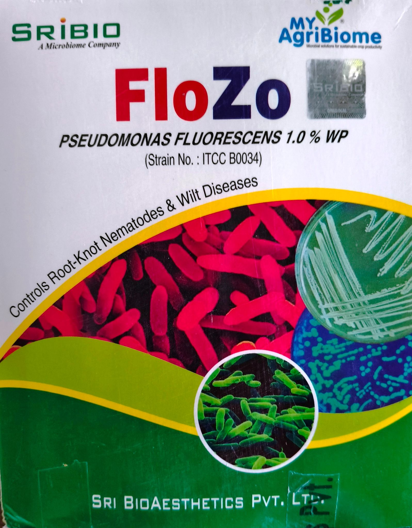 FLOZO PSEDOMONAS