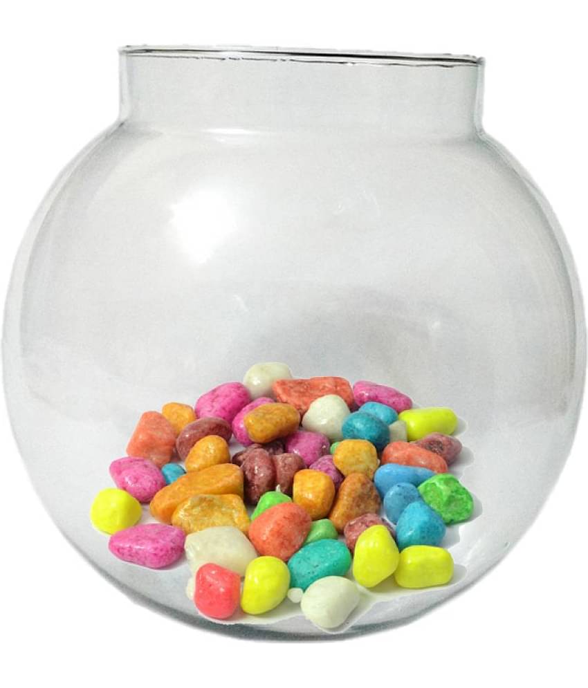 Somil Transparent Round Glass Fish Pot For Zoom View With Colorful Stones, 6 Inch Table Top