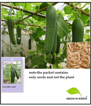 grow n know Cucumber Vegetable ( 40 Seeds )