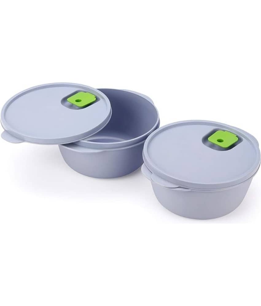 Mumma's Life Plastic Grey Food Container ( Set of 2 )