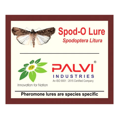 Spodoptera litura  by Palvi industries