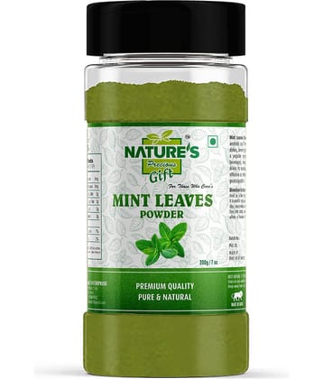 Nature's Gift Mint Leaves Powder - 7 Oz Spice Jar Powder 200 gm