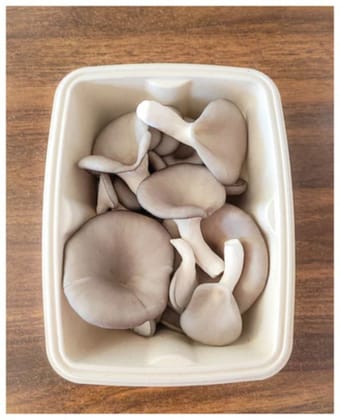 Fresh Oyster Mushrooms - 100 gm - One tray of fresh oyster mushrooms
