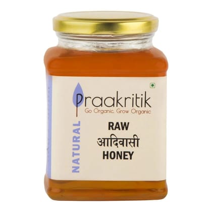 Praakritik Natural Adivasi Honey 500 G