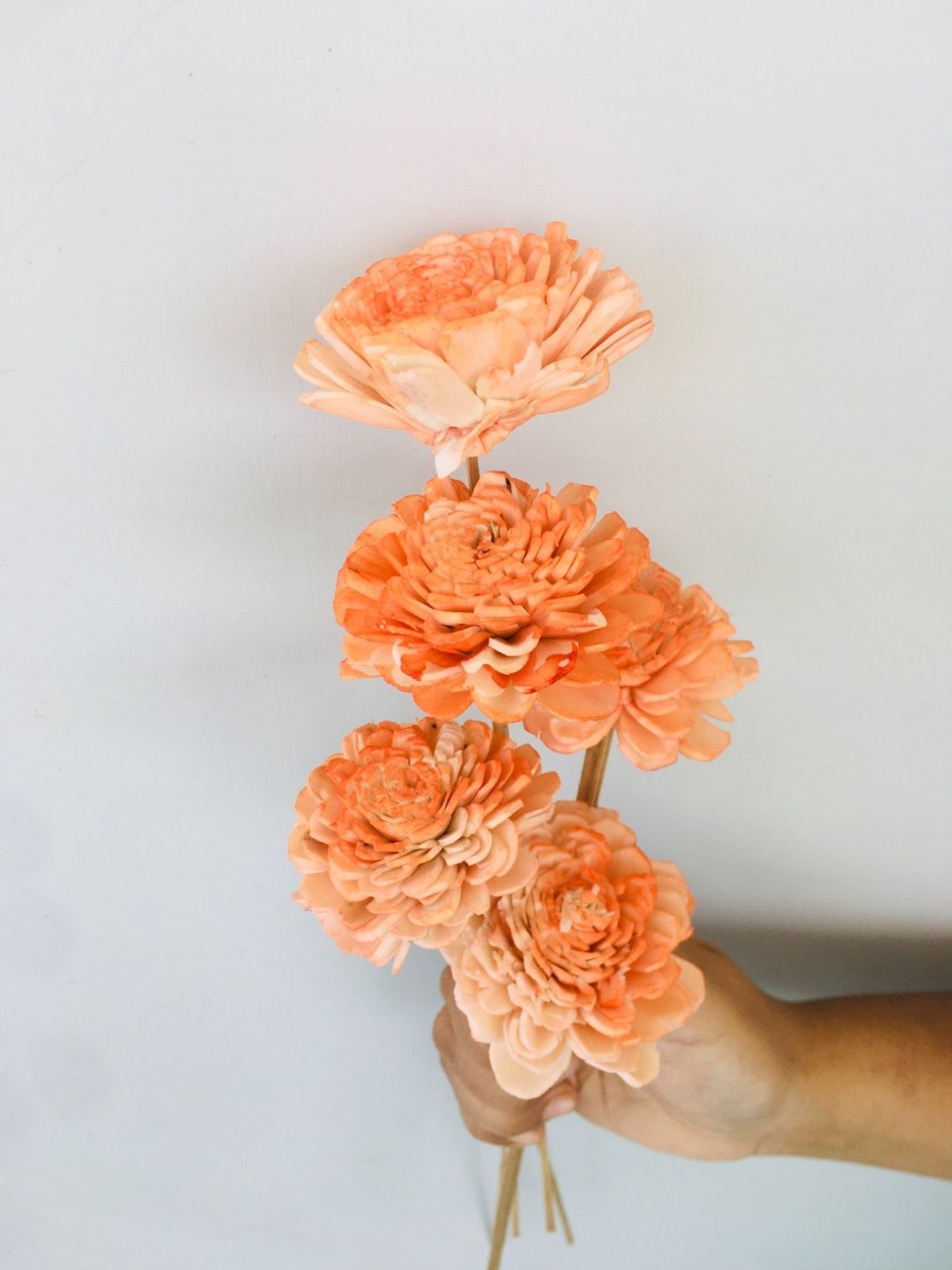 Ombre Peach Sola Flower (5pcs)