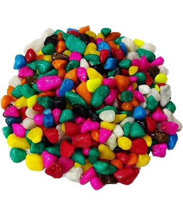 Afast Multicolor Pabbles/Stone For Garden, Plants, Aquarium & Home Decor Wt. 450g