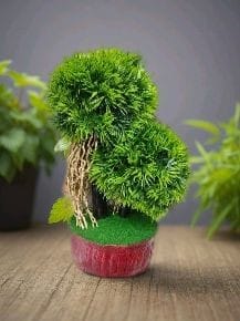 Artificial Bonsai Tree 1 Ft Home Decor 1 Piece Handicraft Artificial Flowers And Tree