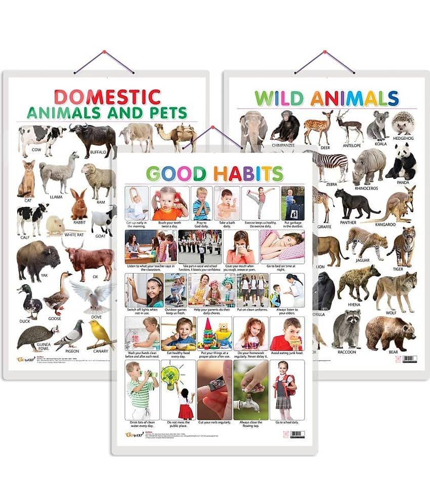 Set of 3 Domestic Animals and Pets, Wild Animals and Good Habits Early Learning Educational Charts for Kids | 20"X30" inch |Non-Tearable and Waterproof | Double Sided Laminated | Perfect for Homeschooling, Kindergarten and Nursery Students