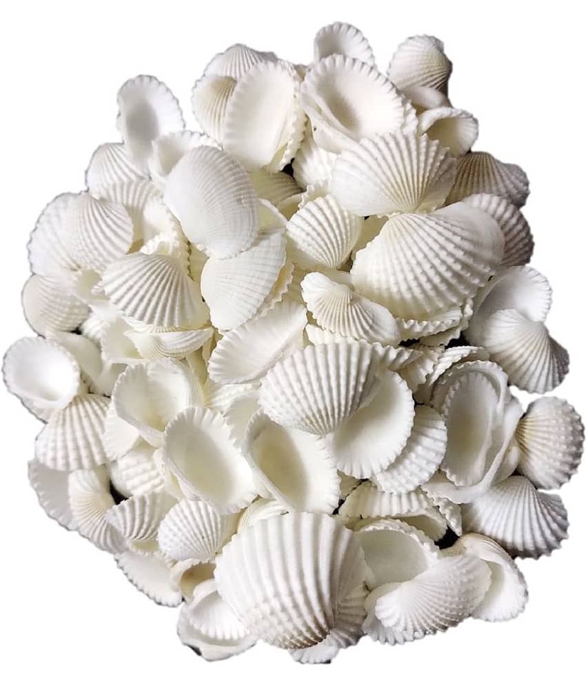 DS1 - Natural Decorative