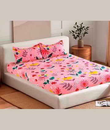Valtellina Cotton Double Bedsheet ( Pink )