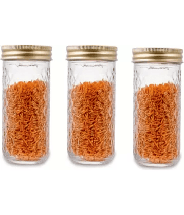 CROCO JAR Glass Gold Spice Container ( Set of 3 )