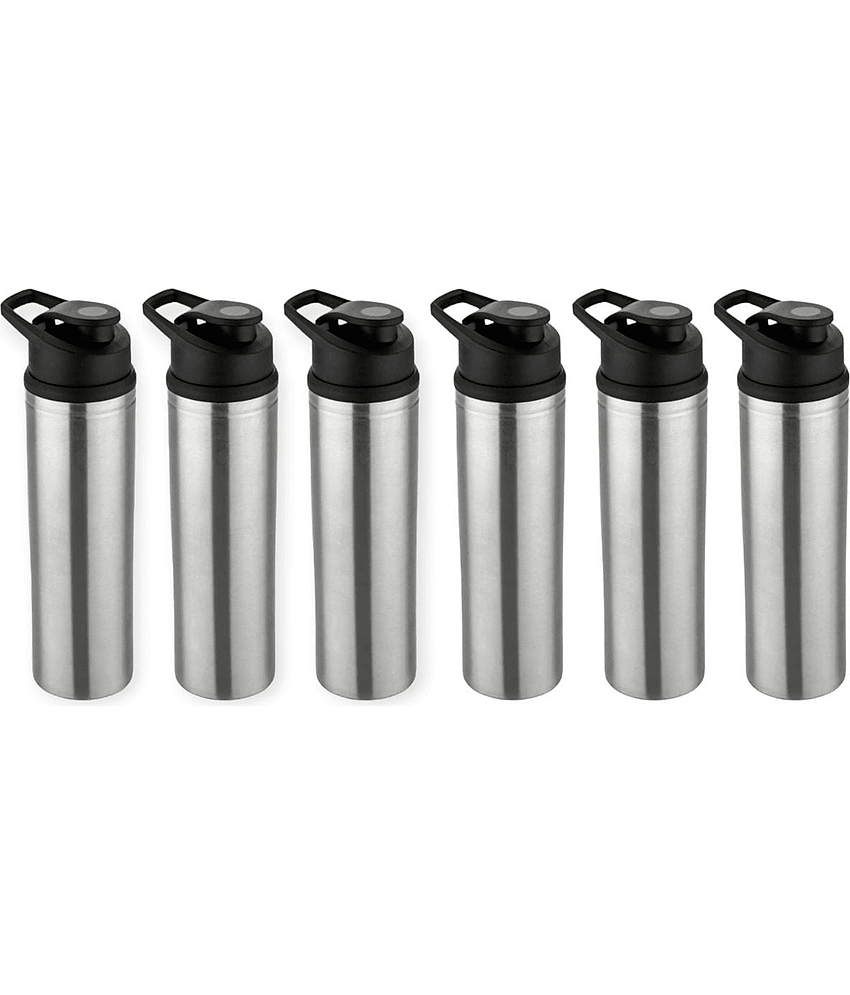 ATROCK Water Bottle Silver Water Bottle 900 mL ( Set of 6 )