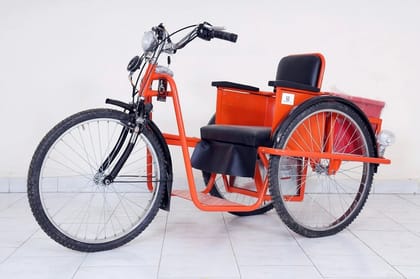 Motorized Tricycle (With Box) - TD2A65 Motorized Tricycle (With Box) - TD2A65