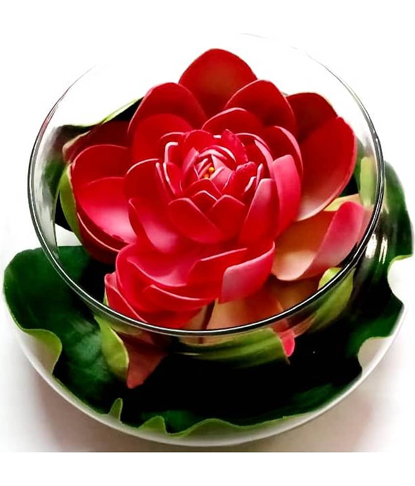 Green plant indoor Lotus Red Flowers With Pot - Pack of 1