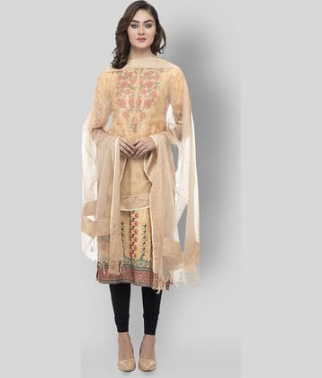 A R Silk Gold Organza Stone work Dupatta