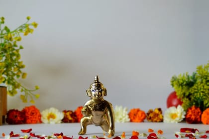 Brass Laddu Gopal Idol kanha (Color - Golden, Size - 4H *3.5L*2.5B) by Snova Enterprises